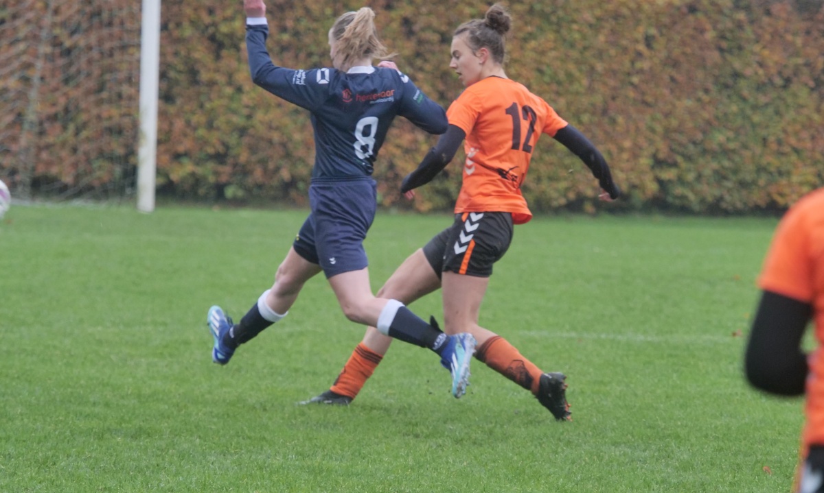 Dames Hollandscheveld onderuit in Zuidwolde
