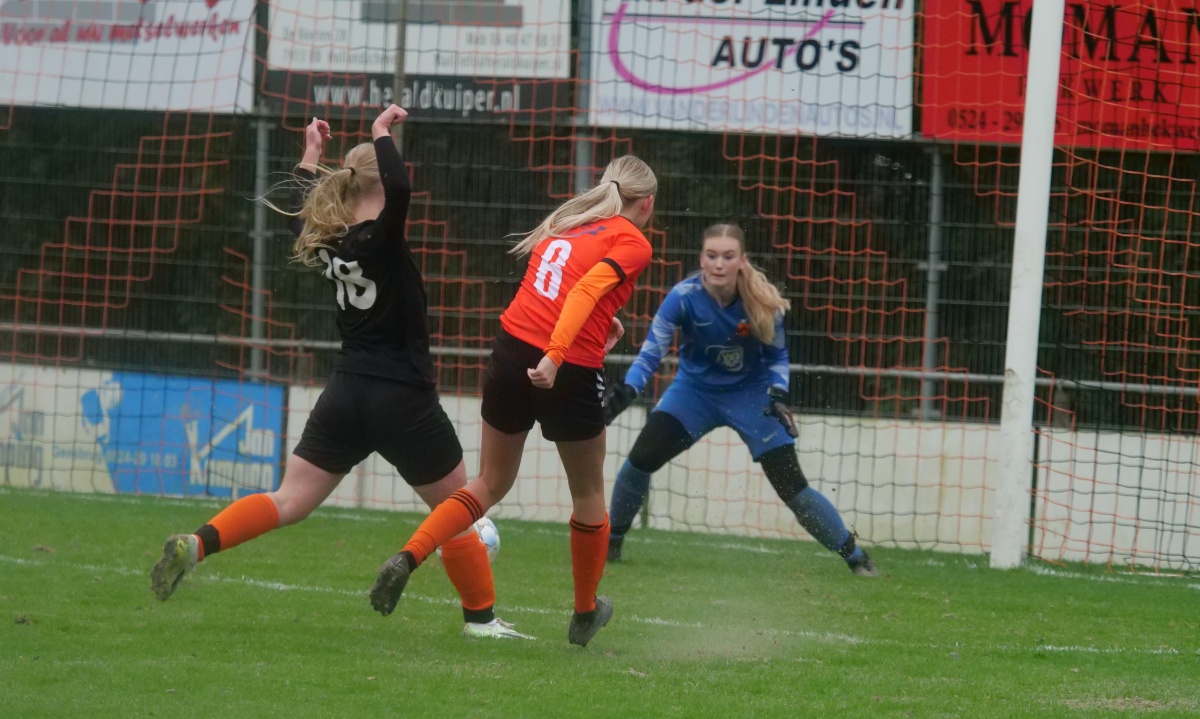 Dames Hollandscheveld zet zegereeks voort tegen HHC