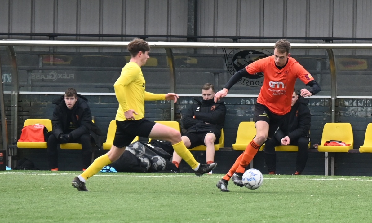 Machteloos Hollandscheveld in Drentse Zuid-Oosthoek