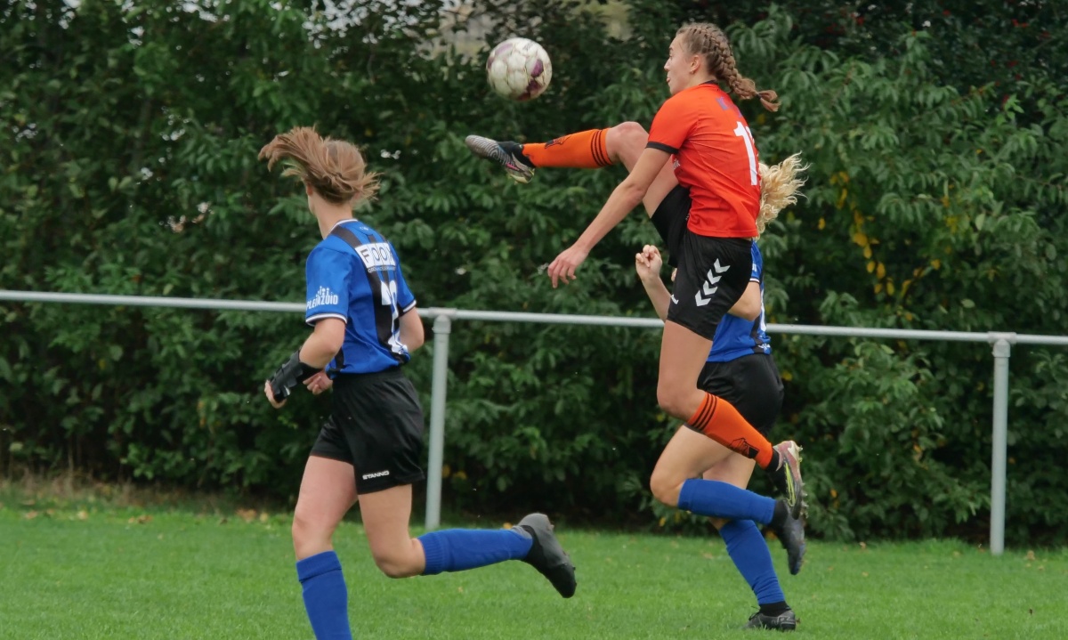 Matig Hollandscheveld onderuit in Zuidwolde